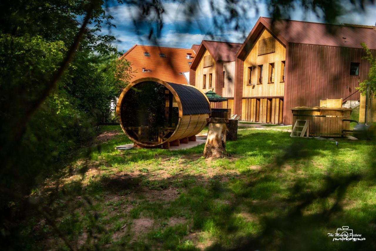 Logis Hotel Altitude Et Spa Pierre-Percée エクステリア 写真