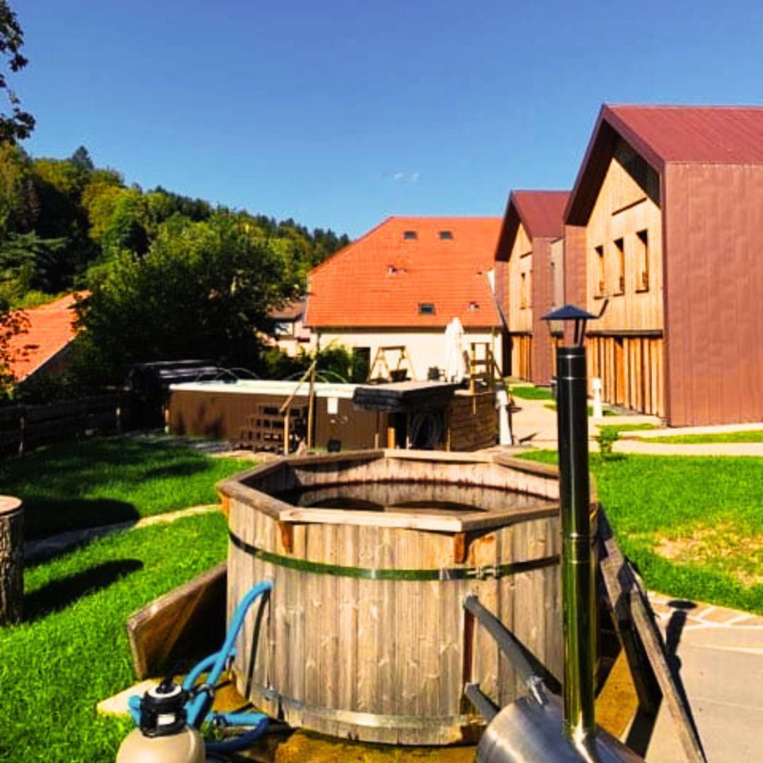 Logis Hotel Altitude Et Spa Pierre-Percée エクステリア 写真